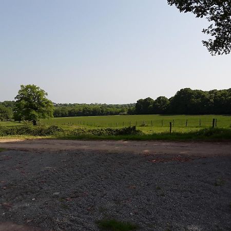 CouzonDomaine Du Bois Chaumet住宿加早餐旅馆 外观 照片